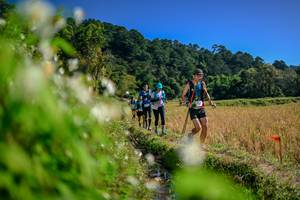 BIB: 
                            <button type="button" onclick="openModal(26574824)" class="btn btn-primary btn-sm float-right btn-popup" data-toggle="modal" data-target=".modal-high-quality">
                        <i class="fas fa-shopping-cart"></i> Add to Cart
                    </button>
                                            <button type="button" onclick="isThisMe(26574824, true)" class="btn btn-success btn-sm float-right btn-popup btn-isme hidden" data-toggle="tooltip" data-placement="bottom" title="นี่คือรูปของคุณใช่ไหม คลิกที่นี่เพื่อเอาเข้าอัลบั้ม">
                        <i class="fas fa-plus"></i> Add to album
                    </button>
                    <button type="button" onclick="isThisMe(26574824, false)" class="btn btn-warning btn-sm float-right btn-popup btn-isnotme hidden">
                        <i class="fas fa-ban"></i> Remove from album
                    </button>