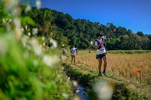 BIB: 
                            <button type="button" onclick="openModal(26573745)" class="btn btn-primary btn-sm float-right btn-popup" data-toggle="modal" data-target=".modal-high-quality">
                        <i class="fas fa-shopping-cart"></i> Add to Cart
                    </button>
                                            <button type="button" onclick="isThisMe(26573745, true)" class="btn btn-success btn-sm float-right btn-popup btn-isme hidden" data-toggle="tooltip" data-placement="bottom" title="นี่คือรูปของคุณใช่ไหม คลิกที่นี่เพื่อเอาเข้าอัลบั้ม">
                        <i class="fas fa-plus"></i> Add to album
                    </button>
                    <button type="button" onclick="isThisMe(26573745, false)" class="btn btn-warning btn-sm float-right btn-popup btn-isnotme hidden">
                        <i class="fas fa-ban"></i> Remove from album
                    </button>