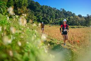 BIB: 
                            <button type="button" onclick="openModal(26570988)" class="btn btn-primary btn-sm float-right btn-popup" data-toggle="modal" data-target=".modal-high-quality">
                        <i class="fas fa-shopping-cart"></i> Add to Cart
                    </button>
                                            <button type="button" onclick="isThisMe(26570988, true)" class="btn btn-success btn-sm float-right btn-popup btn-isme hidden" data-toggle="tooltip" data-placement="bottom" title="นี่คือรูปของคุณใช่ไหม คลิกที่นี่เพื่อเอาเข้าอัลบั้ม">
                        <i class="fas fa-plus"></i> Add to album
                    </button>
                    <button type="button" onclick="isThisMe(26570988, false)" class="btn btn-warning btn-sm float-right btn-popup btn-isnotme hidden">
                        <i class="fas fa-ban"></i> Remove from album
                    </button>