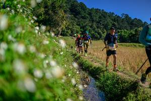 BIB: 
                            <button type="button" onclick="openModal(26583221)" class="btn btn-primary btn-sm float-right btn-popup" data-toggle="modal" data-target=".modal-high-quality">
                        <i class="fas fa-shopping-cart"></i> Add to Cart
                    </button>
                                            <button type="button" onclick="isThisMe(26583221, true)" class="btn btn-success btn-sm float-right btn-popup btn-isme hidden" data-toggle="tooltip" data-placement="bottom" title="นี่คือรูปของคุณใช่ไหม คลิกที่นี่เพื่อเอาเข้าอัลบั้ม">
                        <i class="fas fa-plus"></i> Add to album
                    </button>
                    <button type="button" onclick="isThisMe(26583221, false)" class="btn btn-warning btn-sm float-right btn-popup btn-isnotme hidden">
                        <i class="fas fa-ban"></i> Remove from album
                    </button>