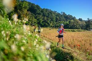 BIB: 
                            <button type="button" onclick="openModal(26570891)" class="btn btn-primary btn-sm float-right btn-popup" data-toggle="modal" data-target=".modal-high-quality">
                        <i class="fas fa-shopping-cart"></i> Add to Cart
                    </button>
                                            <button type="button" onclick="isThisMe(26570891, true)" class="btn btn-success btn-sm float-right btn-popup btn-isme hidden" data-toggle="tooltip" data-placement="bottom" title="นี่คือรูปของคุณใช่ไหม คลิกที่นี่เพื่อเอาเข้าอัลบั้ม">
                        <i class="fas fa-plus"></i> Add to album
                    </button>
                    <button type="button" onclick="isThisMe(26570891, false)" class="btn btn-warning btn-sm float-right btn-popup btn-isnotme hidden">
                        <i class="fas fa-ban"></i> Remove from album
                    </button>