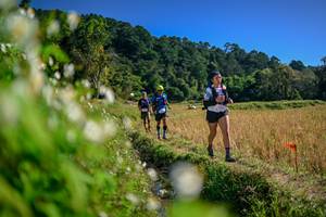 BIB: 
                            <button type="button" onclick="openModal(26574769)" class="btn btn-primary btn-sm float-right btn-popup" data-toggle="modal" data-target=".modal-high-quality">
                        <i class="fas fa-shopping-cart"></i> Add to Cart
                    </button>
                                            <button type="button" onclick="isThisMe(26574769, true)" class="btn btn-success btn-sm float-right btn-popup btn-isme hidden" data-toggle="tooltip" data-placement="bottom" title="นี่คือรูปของคุณใช่ไหม คลิกที่นี่เพื่อเอาเข้าอัลบั้ม">
                        <i class="fas fa-plus"></i> Add to album
                    </button>
                    <button type="button" onclick="isThisMe(26574769, false)" class="btn btn-warning btn-sm float-right btn-popup btn-isnotme hidden">
                        <i class="fas fa-ban"></i> Remove from album
                    </button>