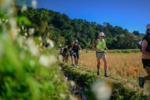 BIB: 
                            <button type="button" onclick="openModal(26574030)" class="btn btn-primary btn-sm float-right btn-popup" data-toggle="modal" data-target=".modal-high-quality">
                        <i class="fas fa-shopping-cart"></i> Add to Cart
                    </button>
                                            <button type="button" onclick="isThisMe(26574030, true)" class="btn btn-success btn-sm float-right btn-popup btn-isme hidden" data-toggle="tooltip" data-placement="bottom" title="นี่คือรูปของคุณใช่ไหม คลิกที่นี่เพื่อเอาเข้าอัลบั้ม">
                        <i class="fas fa-plus"></i> Add to album
                    </button>
                    <button type="button" onclick="isThisMe(26574030, false)" class="btn btn-warning btn-sm float-right btn-popup btn-isnotme hidden">
                        <i class="fas fa-ban"></i> Remove from album
                    </button>