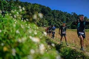 BIB: 
                            <button type="button" onclick="openModal(26583160)" class="btn btn-primary btn-sm float-right btn-popup" data-toggle="modal" data-target=".modal-high-quality">
                        <i class="fas fa-shopping-cart"></i> Add to Cart
                    </button>
                                            <button type="button" onclick="isThisMe(26583160, true)" class="btn btn-success btn-sm float-right btn-popup btn-isme hidden" data-toggle="tooltip" data-placement="bottom" title="นี่คือรูปของคุณใช่ไหม คลิกที่นี่เพื่อเอาเข้าอัลบั้ม">
                        <i class="fas fa-plus"></i> Add to album
                    </button>
                    <button type="button" onclick="isThisMe(26583160, false)" class="btn btn-warning btn-sm float-right btn-popup btn-isnotme hidden">
                        <i class="fas fa-ban"></i> Remove from album
                    </button>