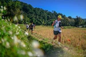 BIB: 
                            <button type="button" onclick="openModal(26576050)" class="btn btn-primary btn-sm float-right btn-popup" data-toggle="modal" data-target=".modal-high-quality">
                        <i class="fas fa-shopping-cart"></i> Add to Cart
                    </button>
                                            <button type="button" onclick="isThisMe(26576050, true)" class="btn btn-success btn-sm float-right btn-popup btn-isme hidden" data-toggle="tooltip" data-placement="bottom" title="นี่คือรูปของคุณใช่ไหม คลิกที่นี่เพื่อเอาเข้าอัลบั้ม">
                        <i class="fas fa-plus"></i> Add to album
                    </button>
                    <button type="button" onclick="isThisMe(26576050, false)" class="btn btn-warning btn-sm float-right btn-popup btn-isnotme hidden">
                        <i class="fas fa-ban"></i> Remove from album
                    </button>