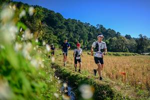 BIB: 
                            <button type="button" onclick="openModal(26571819)" class="btn btn-primary btn-sm float-right btn-popup" data-toggle="modal" data-target=".modal-high-quality">
                        <i class="fas fa-shopping-cart"></i> Add to Cart
                    </button>
                                            <button type="button" onclick="isThisMe(26571819, true)" class="btn btn-success btn-sm float-right btn-popup btn-isme hidden" data-toggle="tooltip" data-placement="bottom" title="นี่คือรูปของคุณใช่ไหม คลิกที่นี่เพื่อเอาเข้าอัลบั้ม">
                        <i class="fas fa-plus"></i> Add to album
                    </button>
                    <button type="button" onclick="isThisMe(26571819, false)" class="btn btn-warning btn-sm float-right btn-popup btn-isnotme hidden">
                        <i class="fas fa-ban"></i> Remove from album
                    </button>