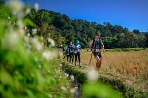 BIB: 
                            <button type="button" onclick="openModal(26574822)" class="btn btn-primary btn-sm float-right btn-popup" data-toggle="modal" data-target=".modal-high-quality">
                        <i class="fas fa-shopping-cart"></i> Add to Cart
                    </button>
                                            <button type="button" onclick="isThisMe(26574822, true)" class="btn btn-success btn-sm float-right btn-popup btn-isme hidden" data-toggle="tooltip" data-placement="bottom" title="นี่คือรูปของคุณใช่ไหม คลิกที่นี่เพื่อเอาเข้าอัลบั้ม">
                        <i class="fas fa-plus"></i> Add to album
                    </button>
                    <button type="button" onclick="isThisMe(26574822, false)" class="btn btn-warning btn-sm float-right btn-popup btn-isnotme hidden">
                        <i class="fas fa-ban"></i> Remove from album
                    </button>