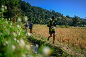 BIB: 
                            <button type="button" onclick="openModal(26576270)" class="btn btn-primary btn-sm float-right btn-popup" data-toggle="modal" data-target=".modal-high-quality">
                        <i class="fas fa-shopping-cart"></i> Add to Cart
                    </button>
                                            <button type="button" onclick="isThisMe(26576270, true)" class="btn btn-success btn-sm float-right btn-popup btn-isme hidden" data-toggle="tooltip" data-placement="bottom" title="นี่คือรูปของคุณใช่ไหม คลิกที่นี่เพื่อเอาเข้าอัลบั้ม">
                        <i class="fas fa-plus"></i> Add to album
                    </button>
                    <button type="button" onclick="isThisMe(26576270, false)" class="btn btn-warning btn-sm float-right btn-popup btn-isnotme hidden">
                        <i class="fas fa-ban"></i> Remove from album
                    </button>