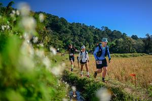 BIB: 
                            <button type="button" onclick="openModal(26574379)" class="btn btn-primary btn-sm float-right btn-popup" data-toggle="modal" data-target=".modal-high-quality">
                        <i class="fas fa-shopping-cart"></i> Add to Cart
                    </button>
                                            <button type="button" onclick="isThisMe(26574379, true)" class="btn btn-success btn-sm float-right btn-popup btn-isme hidden" data-toggle="tooltip" data-placement="bottom" title="นี่คือรูปของคุณใช่ไหม คลิกที่นี่เพื่อเอาเข้าอัลบั้ม">
                        <i class="fas fa-plus"></i> Add to album
                    </button>
                    <button type="button" onclick="isThisMe(26574379, false)" class="btn btn-warning btn-sm float-right btn-popup btn-isnotme hidden">
                        <i class="fas fa-ban"></i> Remove from album
                    </button>