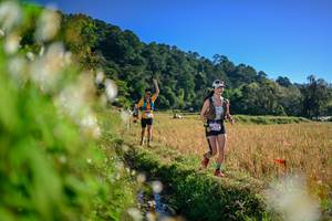 BIB: 
                            <button type="button" onclick="openModal(26571944)" class="btn btn-primary btn-sm float-right btn-popup" data-toggle="modal" data-target=".modal-high-quality">
                        <i class="fas fa-shopping-cart"></i> Add to Cart
                    </button>
                                            <button type="button" onclick="isThisMe(26571944, true)" class="btn btn-success btn-sm float-right btn-popup btn-isme hidden" data-toggle="tooltip" data-placement="bottom" title="นี่คือรูปของคุณใช่ไหม คลิกที่นี่เพื่อเอาเข้าอัลบั้ม">
                        <i class="fas fa-plus"></i> Add to album
                    </button>
                    <button type="button" onclick="isThisMe(26571944, false)" class="btn btn-warning btn-sm float-right btn-popup btn-isnotme hidden">
                        <i class="fas fa-ban"></i> Remove from album
                    </button>