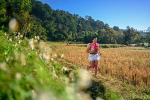 BIB: 
                            <button type="button" onclick="openModal(26570381)" class="btn btn-primary btn-sm float-right btn-popup" data-toggle="modal" data-target=".modal-high-quality">
                        <i class="fas fa-shopping-cart"></i> Add to Cart
                    </button>
                                            <button type="button" onclick="isThisMe(26570381, true)" class="btn btn-success btn-sm float-right btn-popup btn-isme hidden" data-toggle="tooltip" data-placement="bottom" title="นี่คือรูปของคุณใช่ไหม คลิกที่นี่เพื่อเอาเข้าอัลบั้ม">
                        <i class="fas fa-plus"></i> Add to album
                    </button>
                    <button type="button" onclick="isThisMe(26570381, false)" class="btn btn-warning btn-sm float-right btn-popup btn-isnotme hidden">
                        <i class="fas fa-ban"></i> Remove from album
                    </button>