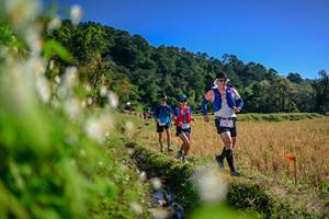 BIB: 
                            <button type="button" onclick="openModal(26572990)" class="btn btn-primary btn-sm float-right btn-popup" data-toggle="modal" data-target=".modal-high-quality">
                        <i class="fas fa-shopping-cart"></i> Add to Cart
                    </button>
                                            <button type="button" onclick="isThisMe(26572990, true)" class="btn btn-success btn-sm float-right btn-popup btn-isme hidden" data-toggle="tooltip" data-placement="bottom" title="นี่คือรูปของคุณใช่ไหม คลิกที่นี่เพื่อเอาเข้าอัลบั้ม">
                        <i class="fas fa-plus"></i> Add to album
                    </button>
                    <button type="button" onclick="isThisMe(26572990, false)" class="btn btn-warning btn-sm float-right btn-popup btn-isnotme hidden">
                        <i class="fas fa-ban"></i> Remove from album
                    </button>