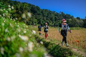 BIB: 
                            <button type="button" onclick="openModal(26583035)" class="btn btn-primary btn-sm float-right btn-popup" data-toggle="modal" data-target=".modal-high-quality">
                        <i class="fas fa-shopping-cart"></i> Add to Cart
                    </button>
                                            <button type="button" onclick="isThisMe(26583035, true)" class="btn btn-success btn-sm float-right btn-popup btn-isme hidden" data-toggle="tooltip" data-placement="bottom" title="นี่คือรูปของคุณใช่ไหม คลิกที่นี่เพื่อเอาเข้าอัลบั้ม">
                        <i class="fas fa-plus"></i> Add to album
                    </button>
                    <button type="button" onclick="isThisMe(26583035, false)" class="btn btn-warning btn-sm float-right btn-popup btn-isnotme hidden">
                        <i class="fas fa-ban"></i> Remove from album
                    </button>