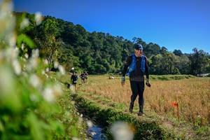 BIB: 
                            <button type="button" onclick="openModal(26573515)" class="btn btn-primary btn-sm float-right btn-popup" data-toggle="modal" data-target=".modal-high-quality">
                        <i class="fas fa-shopping-cart"></i> Add to Cart
                    </button>
                                            <button type="button" onclick="isThisMe(26573515, true)" class="btn btn-success btn-sm float-right btn-popup btn-isme hidden" data-toggle="tooltip" data-placement="bottom" title="นี่คือรูปของคุณใช่ไหม คลิกที่นี่เพื่อเอาเข้าอัลบั้ม">
                        <i class="fas fa-plus"></i> Add to album
                    </button>
                    <button type="button" onclick="isThisMe(26573515, false)" class="btn btn-warning btn-sm float-right btn-popup btn-isnotme hidden">
                        <i class="fas fa-ban"></i> Remove from album
                    </button>