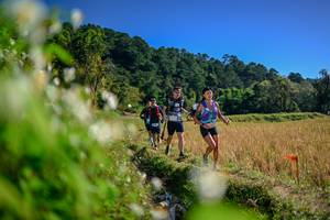 BIB: 
                            <button type="button" onclick="openModal(26574478)" class="btn btn-primary btn-sm float-right btn-popup" data-toggle="modal" data-target=".modal-high-quality">
                        <i class="fas fa-shopping-cart"></i> Add to Cart
                    </button>
                                            <button type="button" onclick="isThisMe(26574478, true)" class="btn btn-success btn-sm float-right btn-popup btn-isme hidden" data-toggle="tooltip" data-placement="bottom" title="นี่คือรูปของคุณใช่ไหม คลิกที่นี่เพื่อเอาเข้าอัลบั้ม">
                        <i class="fas fa-plus"></i> Add to album
                    </button>
                    <button type="button" onclick="isThisMe(26574478, false)" class="btn btn-warning btn-sm float-right btn-popup btn-isnotme hidden">
                        <i class="fas fa-ban"></i> Remove from album
                    </button>