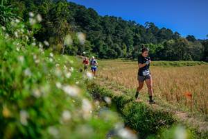 BIB: 
                            <button type="button" onclick="openModal(26582444)" class="btn btn-primary btn-sm float-right btn-popup" data-toggle="modal" data-target=".modal-high-quality">
                        <i class="fas fa-shopping-cart"></i> Add to Cart
                    </button>
                                            <button type="button" onclick="isThisMe(26582444, true)" class="btn btn-success btn-sm float-right btn-popup btn-isme hidden" data-toggle="tooltip" data-placement="bottom" title="นี่คือรูปของคุณใช่ไหม คลิกที่นี่เพื่อเอาเข้าอัลบั้ม">
                        <i class="fas fa-plus"></i> Add to album
                    </button>
                    <button type="button" onclick="isThisMe(26582444, false)" class="btn btn-warning btn-sm float-right btn-popup btn-isnotme hidden">
                        <i class="fas fa-ban"></i> Remove from album
                    </button>