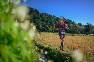 BIB: 
                            <button type="button" onclick="openModal(26572226)" class="btn btn-primary btn-sm float-right btn-popup" data-toggle="modal" data-target=".modal-high-quality">
                        <i class="fas fa-shopping-cart"></i> Add to Cart
                    </button>
                                            <button type="button" onclick="isThisMe(26572226, true)" class="btn btn-success btn-sm float-right btn-popup btn-isme hidden" data-toggle="tooltip" data-placement="bottom" title="นี่คือรูปของคุณใช่ไหม คลิกที่นี่เพื่อเอาเข้าอัลบั้ม">
                        <i class="fas fa-plus"></i> Add to album
                    </button>
                    <button type="button" onclick="isThisMe(26572226, false)" class="btn btn-warning btn-sm float-right btn-popup btn-isnotme hidden">
                        <i class="fas fa-ban"></i> Remove from album
                    </button>