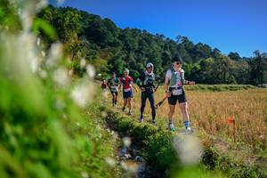 BIB: 
                            <button type="button" onclick="openModal(26572521)" class="btn btn-primary btn-sm float-right btn-popup" data-toggle="modal" data-target=".modal-high-quality">
                        <i class="fas fa-shopping-cart"></i> Add to Cart
                    </button>
                                            <button type="button" onclick="isThisMe(26572521, true)" class="btn btn-success btn-sm float-right btn-popup btn-isme hidden" data-toggle="tooltip" data-placement="bottom" title="นี่คือรูปของคุณใช่ไหม คลิกที่นี่เพื่อเอาเข้าอัลบั้ม">
                        <i class="fas fa-plus"></i> Add to album
                    </button>
                    <button type="button" onclick="isThisMe(26572521, false)" class="btn btn-warning btn-sm float-right btn-popup btn-isnotme hidden">
                        <i class="fas fa-ban"></i> Remove from album
                    </button>