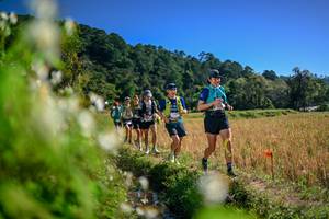 BIB: 
                            <button type="button" onclick="openModal(26575161)" class="btn btn-primary btn-sm float-right btn-popup" data-toggle="modal" data-target=".modal-high-quality">
                        <i class="fas fa-shopping-cart"></i> Add to Cart
                    </button>
                                            <button type="button" onclick="isThisMe(26575161, true)" class="btn btn-success btn-sm float-right btn-popup btn-isme hidden" data-toggle="tooltip" data-placement="bottom" title="นี่คือรูปของคุณใช่ไหม คลิกที่นี่เพื่อเอาเข้าอัลบั้ม">
                        <i class="fas fa-plus"></i> Add to album
                    </button>
                    <button type="button" onclick="isThisMe(26575161, false)" class="btn btn-warning btn-sm float-right btn-popup btn-isnotme hidden">
                        <i class="fas fa-ban"></i> Remove from album
                    </button>