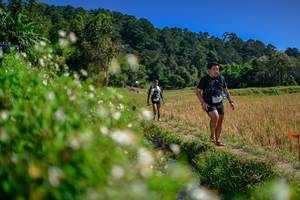 BIB: 
                            <button type="button" onclick="openModal(26581883)" class="btn btn-primary btn-sm float-right btn-popup" data-toggle="modal" data-target=".modal-high-quality">
                        <i class="fas fa-shopping-cart"></i> Add to Cart
                    </button>
                                            <button type="button" onclick="isThisMe(26581883, true)" class="btn btn-success btn-sm float-right btn-popup btn-isme hidden" data-toggle="tooltip" data-placement="bottom" title="นี่คือรูปของคุณใช่ไหม คลิกที่นี่เพื่อเอาเข้าอัลบั้ม">
                        <i class="fas fa-plus"></i> Add to album
                    </button>
                    <button type="button" onclick="isThisMe(26581883, false)" class="btn btn-warning btn-sm float-right btn-popup btn-isnotme hidden">
                        <i class="fas fa-ban"></i> Remove from album
                    </button>