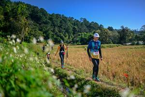 BIB: 
                            <button type="button" onclick="openModal(26575749)" class="btn btn-primary btn-sm float-right btn-popup" data-toggle="modal" data-target=".modal-high-quality">
                        <i class="fas fa-shopping-cart"></i> Add to Cart
                    </button>
                                            <button type="button" onclick="isThisMe(26575749, true)" class="btn btn-success btn-sm float-right btn-popup btn-isme hidden" data-toggle="tooltip" data-placement="bottom" title="นี่คือรูปของคุณใช่ไหม คลิกที่นี่เพื่อเอาเข้าอัลบั้ม">
                        <i class="fas fa-plus"></i> Add to album
                    </button>
                    <button type="button" onclick="isThisMe(26575749, false)" class="btn btn-warning btn-sm float-right btn-popup btn-isnotme hidden">
                        <i class="fas fa-ban"></i> Remove from album
                    </button>