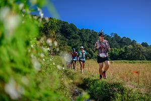 BIB: 
                            <button type="button" onclick="openModal(26580561)" class="btn btn-primary btn-sm float-right btn-popup" data-toggle="modal" data-target=".modal-high-quality">
                        <i class="fas fa-shopping-cart"></i> Add to Cart
                    </button>
                                            <button type="button" onclick="isThisMe(26580561, true)" class="btn btn-success btn-sm float-right btn-popup btn-isme hidden" data-toggle="tooltip" data-placement="bottom" title="นี่คือรูปของคุณใช่ไหม คลิกที่นี่เพื่อเอาเข้าอัลบั้ม">
                        <i class="fas fa-plus"></i> Add to album
                    </button>
                    <button type="button" onclick="isThisMe(26580561, false)" class="btn btn-warning btn-sm float-right btn-popup btn-isnotme hidden">
                        <i class="fas fa-ban"></i> Remove from album
                    </button>