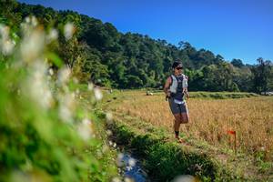 BIB: 
                            <button type="button" onclick="openModal(26571544)" class="btn btn-primary btn-sm float-right btn-popup" data-toggle="modal" data-target=".modal-high-quality">
                        <i class="fas fa-shopping-cart"></i> Add to Cart
                    </button>
                                            <button type="button" onclick="isThisMe(26571544, true)" class="btn btn-success btn-sm float-right btn-popup btn-isme hidden" data-toggle="tooltip" data-placement="bottom" title="นี่คือรูปของคุณใช่ไหม คลิกที่นี่เพื่อเอาเข้าอัลบั้ม">
                        <i class="fas fa-plus"></i> Add to album
                    </button>
                    <button type="button" onclick="isThisMe(26571544, false)" class="btn btn-warning btn-sm float-right btn-popup btn-isnotme hidden">
                        <i class="fas fa-ban"></i> Remove from album
                    </button>