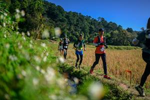 BIB: 
                            <button type="button" onclick="openModal(26576335)" class="btn btn-primary btn-sm float-right btn-popup" data-toggle="modal" data-target=".modal-high-quality">
                        <i class="fas fa-shopping-cart"></i> Add to Cart
                    </button>
                                            <button type="button" onclick="isThisMe(26576335, true)" class="btn btn-success btn-sm float-right btn-popup btn-isme hidden" data-toggle="tooltip" data-placement="bottom" title="นี่คือรูปของคุณใช่ไหม คลิกที่นี่เพื่อเอาเข้าอัลบั้ม">
                        <i class="fas fa-plus"></i> Add to album
                    </button>
                    <button type="button" onclick="isThisMe(26576335, false)" class="btn btn-warning btn-sm float-right btn-popup btn-isnotme hidden">
                        <i class="fas fa-ban"></i> Remove from album
                    </button>