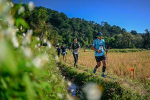 BIB: 
                            <button type="button" onclick="openModal(26573461)" class="btn btn-primary btn-sm float-right btn-popup" data-toggle="modal" data-target=".modal-high-quality">
                        <i class="fas fa-shopping-cart"></i> Add to Cart
                    </button>
                                            <button type="button" onclick="isThisMe(26573461, true)" class="btn btn-success btn-sm float-right btn-popup btn-isme hidden" data-toggle="tooltip" data-placement="bottom" title="นี่คือรูปของคุณใช่ไหม คลิกที่นี่เพื่อเอาเข้าอัลบั้ม">
                        <i class="fas fa-plus"></i> Add to album
                    </button>
                    <button type="button" onclick="isThisMe(26573461, false)" class="btn btn-warning btn-sm float-right btn-popup btn-isnotme hidden">
                        <i class="fas fa-ban"></i> Remove from album
                    </button>