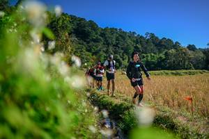 BIB: 
                            <button type="button" onclick="openModal(26574583)" class="btn btn-primary btn-sm float-right btn-popup" data-toggle="modal" data-target=".modal-high-quality">
                        <i class="fas fa-shopping-cart"></i> Add to Cart
                    </button>
                                            <button type="button" onclick="isThisMe(26574583, true)" class="btn btn-success btn-sm float-right btn-popup btn-isme hidden" data-toggle="tooltip" data-placement="bottom" title="นี่คือรูปของคุณใช่ไหม คลิกที่นี่เพื่อเอาเข้าอัลบั้ม">
                        <i class="fas fa-plus"></i> Add to album
                    </button>
                    <button type="button" onclick="isThisMe(26574583, false)" class="btn btn-warning btn-sm float-right btn-popup btn-isnotme hidden">
                        <i class="fas fa-ban"></i> Remove from album
                    </button>