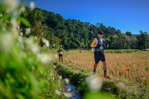 BIB: 
                            <button type="button" onclick="openModal(26574515)" class="btn btn-primary btn-sm float-right btn-popup" data-toggle="modal" data-target=".modal-high-quality">
                        <i class="fas fa-shopping-cart"></i> Add to Cart
                    </button>
                                            <button type="button" onclick="isThisMe(26574515, true)" class="btn btn-success btn-sm float-right btn-popup btn-isme hidden" data-toggle="tooltip" data-placement="bottom" title="นี่คือรูปของคุณใช่ไหม คลิกที่นี่เพื่อเอาเข้าอัลบั้ม">
                        <i class="fas fa-plus"></i> Add to album
                    </button>
                    <button type="button" onclick="isThisMe(26574515, false)" class="btn btn-warning btn-sm float-right btn-popup btn-isnotme hidden">
                        <i class="fas fa-ban"></i> Remove from album
                    </button>