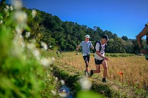 BIB: 
                            <button type="button" onclick="openModal(26574312)" class="btn btn-primary btn-sm float-right btn-popup" data-toggle="modal" data-target=".modal-high-quality">
                        <i class="fas fa-shopping-cart"></i> Add to Cart
                    </button>
                                            <button type="button" onclick="isThisMe(26574312, true)" class="btn btn-success btn-sm float-right btn-popup btn-isme hidden" data-toggle="tooltip" data-placement="bottom" title="นี่คือรูปของคุณใช่ไหม คลิกที่นี่เพื่อเอาเข้าอัลบั้ม">
                        <i class="fas fa-plus"></i> Add to album
                    </button>
                    <button type="button" onclick="isThisMe(26574312, false)" class="btn btn-warning btn-sm float-right btn-popup btn-isnotme hidden">
                        <i class="fas fa-ban"></i> Remove from album
                    </button>