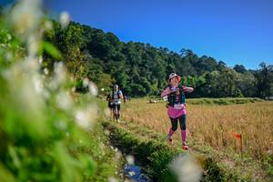 BIB: 
                            <button type="button" onclick="openModal(26573180)" class="btn btn-primary btn-sm float-right btn-popup" data-toggle="modal" data-target=".modal-high-quality">
                        <i class="fas fa-shopping-cart"></i> Add to Cart
                    </button>
                                            <button type="button" onclick="isThisMe(26573180, true)" class="btn btn-success btn-sm float-right btn-popup btn-isme hidden" data-toggle="tooltip" data-placement="bottom" title="นี่คือรูปของคุณใช่ไหม คลิกที่นี่เพื่อเอาเข้าอัลบั้ม">
                        <i class="fas fa-plus"></i> Add to album
                    </button>
                    <button type="button" onclick="isThisMe(26573180, false)" class="btn btn-warning btn-sm float-right btn-popup btn-isnotme hidden">
                        <i class="fas fa-ban"></i> Remove from album
                    </button>