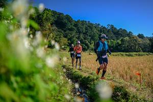 BIB: 
                            <button type="button" onclick="openModal(26572835)" class="btn btn-primary btn-sm float-right btn-popup" data-toggle="modal" data-target=".modal-high-quality">
                        <i class="fas fa-shopping-cart"></i> Add to Cart
                    </button>
                                            <button type="button" onclick="isThisMe(26572835, true)" class="btn btn-success btn-sm float-right btn-popup btn-isme hidden" data-toggle="tooltip" data-placement="bottom" title="นี่คือรูปของคุณใช่ไหม คลิกที่นี่เพื่อเอาเข้าอัลบั้ม">
                        <i class="fas fa-plus"></i> Add to album
                    </button>
                    <button type="button" onclick="isThisMe(26572835, false)" class="btn btn-warning btn-sm float-right btn-popup btn-isnotme hidden">
                        <i class="fas fa-ban"></i> Remove from album
                    </button>