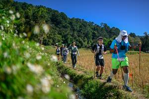 BIB: 
                            <button type="button" onclick="openModal(26582606)" class="btn btn-primary btn-sm float-right btn-popup" data-toggle="modal" data-target=".modal-high-quality">
                        <i class="fas fa-shopping-cart"></i> Add to Cart
                    </button>
                                            <button type="button" onclick="isThisMe(26582606, true)" class="btn btn-success btn-sm float-right btn-popup btn-isme hidden" data-toggle="tooltip" data-placement="bottom" title="นี่คือรูปของคุณใช่ไหม คลิกที่นี่เพื่อเอาเข้าอัลบั้ม">
                        <i class="fas fa-plus"></i> Add to album
                    </button>
                    <button type="button" onclick="isThisMe(26582606, false)" class="btn btn-warning btn-sm float-right btn-popup btn-isnotme hidden">
                        <i class="fas fa-ban"></i> Remove from album
                    </button>