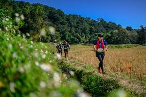 BIB: 
                            <button type="button" onclick="openModal(26582344)" class="btn btn-primary btn-sm float-right btn-popup" data-toggle="modal" data-target=".modal-high-quality">
                        <i class="fas fa-shopping-cart"></i> Add to Cart
                    </button>
                                            <button type="button" onclick="isThisMe(26582344, true)" class="btn btn-success btn-sm float-right btn-popup btn-isme hidden" data-toggle="tooltip" data-placement="bottom" title="นี่คือรูปของคุณใช่ไหม คลิกที่นี่เพื่อเอาเข้าอัลบั้ม">
                        <i class="fas fa-plus"></i> Add to album
                    </button>
                    <button type="button" onclick="isThisMe(26582344, false)" class="btn btn-warning btn-sm float-right btn-popup btn-isnotme hidden">
                        <i class="fas fa-ban"></i> Remove from album
                    </button>