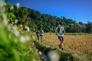 BIB: 
                            <button type="button" onclick="openModal(26573870)" class="btn btn-primary btn-sm float-right btn-popup" data-toggle="modal" data-target=".modal-high-quality">
                        <i class="fas fa-shopping-cart"></i> Add to Cart
                    </button>
                                            <button type="button" onclick="isThisMe(26573870, true)" class="btn btn-success btn-sm float-right btn-popup btn-isme hidden" data-toggle="tooltip" data-placement="bottom" title="นี่คือรูปของคุณใช่ไหม คลิกที่นี่เพื่อเอาเข้าอัลบั้ม">
                        <i class="fas fa-plus"></i> Add to album
                    </button>
                    <button type="button" onclick="isThisMe(26573870, false)" class="btn btn-warning btn-sm float-right btn-popup btn-isnotme hidden">
                        <i class="fas fa-ban"></i> Remove from album
                    </button>