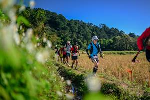 BIB: 
                            <button type="button" onclick="openModal(26573032)" class="btn btn-primary btn-sm float-right btn-popup" data-toggle="modal" data-target=".modal-high-quality">
                        <i class="fas fa-shopping-cart"></i> Add to Cart
                    </button>
                                            <button type="button" onclick="isThisMe(26573032, true)" class="btn btn-success btn-sm float-right btn-popup btn-isme hidden" data-toggle="tooltip" data-placement="bottom" title="นี่คือรูปของคุณใช่ไหม คลิกที่นี่เพื่อเอาเข้าอัลบั้ม">
                        <i class="fas fa-plus"></i> Add to album
                    </button>
                    <button type="button" onclick="isThisMe(26573032, false)" class="btn btn-warning btn-sm float-right btn-popup btn-isnotme hidden">
                        <i class="fas fa-ban"></i> Remove from album
                    </button>