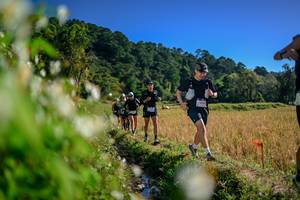 BIB: 
                            <button type="button" onclick="openModal(26574053)" class="btn btn-primary btn-sm float-right btn-popup" data-toggle="modal" data-target=".modal-high-quality">
                        <i class="fas fa-shopping-cart"></i> Add to Cart
                    </button>
                                            <button type="button" onclick="isThisMe(26574053, true)" class="btn btn-success btn-sm float-right btn-popup btn-isme hidden" data-toggle="tooltip" data-placement="bottom" title="นี่คือรูปของคุณใช่ไหม คลิกที่นี่เพื่อเอาเข้าอัลบั้ม">
                        <i class="fas fa-plus"></i> Add to album
                    </button>
                    <button type="button" onclick="isThisMe(26574053, false)" class="btn btn-warning btn-sm float-right btn-popup btn-isnotme hidden">
                        <i class="fas fa-ban"></i> Remove from album
                    </button>