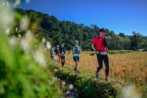 BIB: 
                            <button type="button" onclick="openModal(26572103)" class="btn btn-primary btn-sm float-right btn-popup" data-toggle="modal" data-target=".modal-high-quality">
                        <i class="fas fa-shopping-cart"></i> Add to Cart
                    </button>
                                            <button type="button" onclick="isThisMe(26572103, true)" class="btn btn-success btn-sm float-right btn-popup btn-isme hidden" data-toggle="tooltip" data-placement="bottom" title="นี่คือรูปของคุณใช่ไหม คลิกที่นี่เพื่อเอาเข้าอัลบั้ม">
                        <i class="fas fa-plus"></i> Add to album
                    </button>
                    <button type="button" onclick="isThisMe(26572103, false)" class="btn btn-warning btn-sm float-right btn-popup btn-isnotme hidden">
                        <i class="fas fa-ban"></i> Remove from album
                    </button>