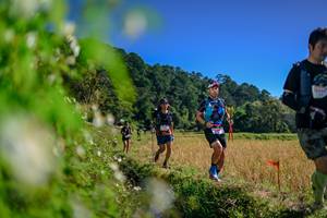 BIB: 
                            <button type="button" onclick="openModal(26580309)" class="btn btn-primary btn-sm float-right btn-popup" data-toggle="modal" data-target=".modal-high-quality">
                        <i class="fas fa-shopping-cart"></i> Add to Cart
                    </button>
                                            <button type="button" onclick="isThisMe(26580309, true)" class="btn btn-success btn-sm float-right btn-popup btn-isme hidden" data-toggle="tooltip" data-placement="bottom" title="นี่คือรูปของคุณใช่ไหม คลิกที่นี่เพื่อเอาเข้าอัลบั้ม">
                        <i class="fas fa-plus"></i> Add to album
                    </button>
                    <button type="button" onclick="isThisMe(26580309, false)" class="btn btn-warning btn-sm float-right btn-popup btn-isnotme hidden">
                        <i class="fas fa-ban"></i> Remove from album
                    </button>