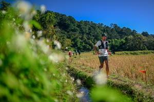 BIB: 
                            <button type="button" onclick="openModal(26574875)" class="btn btn-primary btn-sm float-right btn-popup" data-toggle="modal" data-target=".modal-high-quality">
                        <i class="fas fa-shopping-cart"></i> Add to Cart
                    </button>
                                            <button type="button" onclick="isThisMe(26574875, true)" class="btn btn-success btn-sm float-right btn-popup btn-isme hidden" data-toggle="tooltip" data-placement="bottom" title="นี่คือรูปของคุณใช่ไหม คลิกที่นี่เพื่อเอาเข้าอัลบั้ม">
                        <i class="fas fa-plus"></i> Add to album
                    </button>
                    <button type="button" onclick="isThisMe(26574875, false)" class="btn btn-warning btn-sm float-right btn-popup btn-isnotme hidden">
                        <i class="fas fa-ban"></i> Remove from album
                    </button>