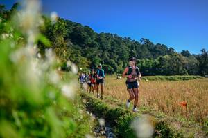 BIB: 
                            <button type="button" onclick="openModal(26572933)" class="btn btn-primary btn-sm float-right btn-popup" data-toggle="modal" data-target=".modal-high-quality">
                        <i class="fas fa-shopping-cart"></i> Add to Cart
                    </button>
                                            <button type="button" onclick="isThisMe(26572933, true)" class="btn btn-success btn-sm float-right btn-popup btn-isme hidden" data-toggle="tooltip" data-placement="bottom" title="นี่คือรูปของคุณใช่ไหม คลิกที่นี่เพื่อเอาเข้าอัลบั้ม">
                        <i class="fas fa-plus"></i> Add to album
                    </button>
                    <button type="button" onclick="isThisMe(26572933, false)" class="btn btn-warning btn-sm float-right btn-popup btn-isnotme hidden">
                        <i class="fas fa-ban"></i> Remove from album
                    </button>