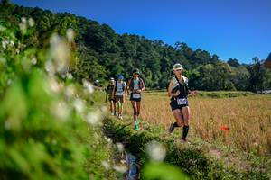 BIB: 
                            <button type="button" onclick="openModal(26575534)" class="btn btn-primary btn-sm float-right btn-popup" data-toggle="modal" data-target=".modal-high-quality">
                        <i class="fas fa-shopping-cart"></i> Add to Cart
                    </button>
                                            <button type="button" onclick="isThisMe(26575534, true)" class="btn btn-success btn-sm float-right btn-popup btn-isme hidden" data-toggle="tooltip" data-placement="bottom" title="นี่คือรูปของคุณใช่ไหม คลิกที่นี่เพื่อเอาเข้าอัลบั้ม">
                        <i class="fas fa-plus"></i> Add to album
                    </button>
                    <button type="button" onclick="isThisMe(26575534, false)" class="btn btn-warning btn-sm float-right btn-popup btn-isnotme hidden">
                        <i class="fas fa-ban"></i> Remove from album
                    </button>