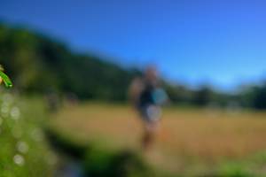 BIB: 
                            <button type="button" onclick="openModal(26580112)" class="btn btn-primary btn-sm float-right btn-popup" data-toggle="modal" data-target=".modal-high-quality">
                        <i class="fas fa-shopping-cart"></i> Add to Cart
                    </button>
                                            <button type="button" onclick="isThisMe(26580112, true)" class="btn btn-success btn-sm float-right btn-popup btn-isme hidden" data-toggle="tooltip" data-placement="bottom" title="นี่คือรูปของคุณใช่ไหม คลิกที่นี่เพื่อเอาเข้าอัลบั้ม">
                        <i class="fas fa-plus"></i> Add to album
                    </button>
                    <button type="button" onclick="isThisMe(26580112, false)" class="btn btn-warning btn-sm float-right btn-popup btn-isnotme hidden">
                        <i class="fas fa-ban"></i> Remove from album
                    </button>