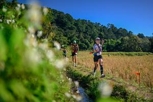 BIB: 
                            <button type="button" onclick="openModal(26575341)" class="btn btn-primary btn-sm float-right btn-popup" data-toggle="modal" data-target=".modal-high-quality">
                        <i class="fas fa-shopping-cart"></i> Add to Cart
                    </button>
                                            <button type="button" onclick="isThisMe(26575341, true)" class="btn btn-success btn-sm float-right btn-popup btn-isme hidden" data-toggle="tooltip" data-placement="bottom" title="นี่คือรูปของคุณใช่ไหม คลิกที่นี่เพื่อเอาเข้าอัลบั้ม">
                        <i class="fas fa-plus"></i> Add to album
                    </button>
                    <button type="button" onclick="isThisMe(26575341, false)" class="btn btn-warning btn-sm float-right btn-popup btn-isnotme hidden">
                        <i class="fas fa-ban"></i> Remove from album
                    </button>