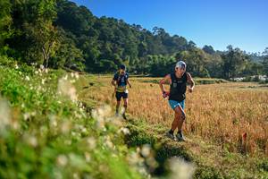 BIB: 
                            <button type="button" onclick="openModal(26570370)" class="btn btn-primary btn-sm float-right btn-popup" data-toggle="modal" data-target=".modal-high-quality">
                        <i class="fas fa-shopping-cart"></i> Add to Cart
                    </button>
                                            <button type="button" onclick="isThisMe(26570370, true)" class="btn btn-success btn-sm float-right btn-popup btn-isme hidden" data-toggle="tooltip" data-placement="bottom" title="นี่คือรูปของคุณใช่ไหม คลิกที่นี่เพื่อเอาเข้าอัลบั้ม">
                        <i class="fas fa-plus"></i> Add to album
                    </button>
                    <button type="button" onclick="isThisMe(26570370, false)" class="btn btn-warning btn-sm float-right btn-popup btn-isnotme hidden">
                        <i class="fas fa-ban"></i> Remove from album
                    </button>