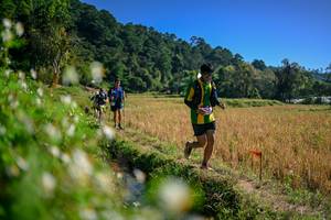 BIB: 
                            <button type="button" onclick="openModal(26576275)" class="btn btn-primary btn-sm float-right btn-popup" data-toggle="modal" data-target=".modal-high-quality">
                        <i class="fas fa-shopping-cart"></i> Add to Cart
                    </button>
                                            <button type="button" onclick="isThisMe(26576275, true)" class="btn btn-success btn-sm float-right btn-popup btn-isme hidden" data-toggle="tooltip" data-placement="bottom" title="นี่คือรูปของคุณใช่ไหม คลิกที่นี่เพื่อเอาเข้าอัลบั้ม">
                        <i class="fas fa-plus"></i> Add to album
                    </button>
                    <button type="button" onclick="isThisMe(26576275, false)" class="btn btn-warning btn-sm float-right btn-popup btn-isnotme hidden">
                        <i class="fas fa-ban"></i> Remove from album
                    </button>