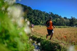 BIB: 
                            <button type="button" onclick="openModal(26572173)" class="btn btn-primary btn-sm float-right btn-popup" data-toggle="modal" data-target=".modal-high-quality">
                        <i class="fas fa-shopping-cart"></i> Add to Cart
                    </button>
                                            <button type="button" onclick="isThisMe(26572173, true)" class="btn btn-success btn-sm float-right btn-popup btn-isme hidden" data-toggle="tooltip" data-placement="bottom" title="นี่คือรูปของคุณใช่ไหม คลิกที่นี่เพื่อเอาเข้าอัลบั้ม">
                        <i class="fas fa-plus"></i> Add to album
                    </button>
                    <button type="button" onclick="isThisMe(26572173, false)" class="btn btn-warning btn-sm float-right btn-popup btn-isnotme hidden">
                        <i class="fas fa-ban"></i> Remove from album
                    </button>