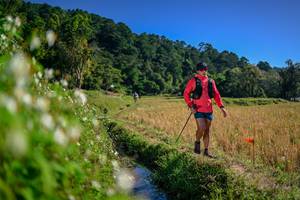 BIB: 
                            <button type="button" onclick="openModal(26575692)" class="btn btn-primary btn-sm float-right btn-popup" data-toggle="modal" data-target=".modal-high-quality">
                        <i class="fas fa-shopping-cart"></i> Add to Cart
                    </button>
                                            <button type="button" onclick="isThisMe(26575692, true)" class="btn btn-success btn-sm float-right btn-popup btn-isme hidden" data-toggle="tooltip" data-placement="bottom" title="นี่คือรูปของคุณใช่ไหม คลิกที่นี่เพื่อเอาเข้าอัลบั้ม">
                        <i class="fas fa-plus"></i> Add to album
                    </button>
                    <button type="button" onclick="isThisMe(26575692, false)" class="btn btn-warning btn-sm float-right btn-popup btn-isnotme hidden">
                        <i class="fas fa-ban"></i> Remove from album
                    </button>